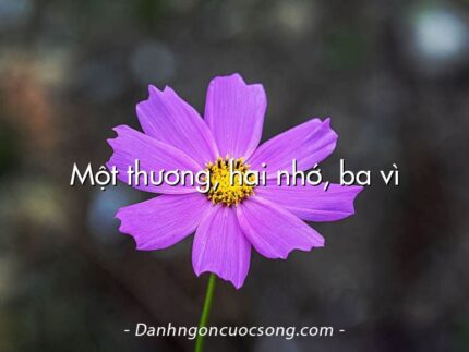 Một thương, hai nhớ, ba vì