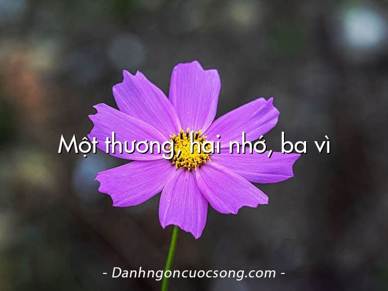 Một thương, hai nhớ, ba vì