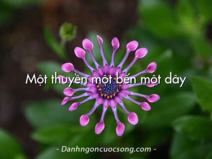 Một thuyền một bến một dây