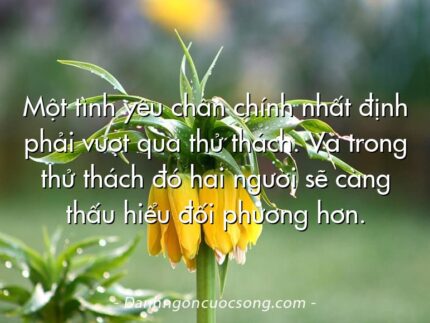 Một tình yêu chân chính nhất định phải vượt qua thử thách. Và trong thử thách đó hai người sẽ càng thấu hiểu đối phương hơn.