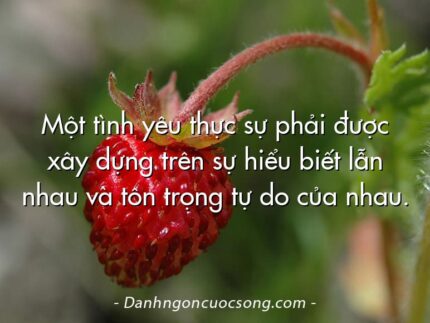 Một tình yêu thực sự phải được xây dựng trên sự hiểu biết lẫn nhau và tôn trọng tự do của nhau.