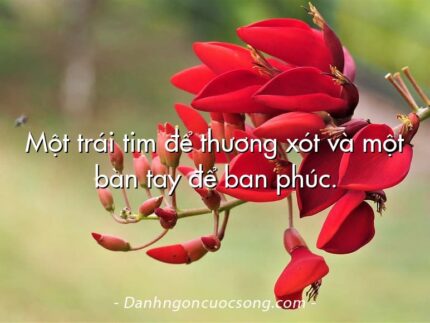 Một trái tim để thương xót và một bàn tay để ban phúc.