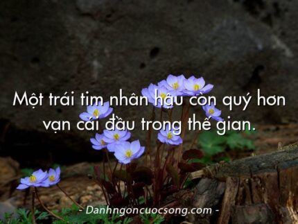 Một trái tim nhân hậu còn quý hơn vạn cái đầu trong thế gian.