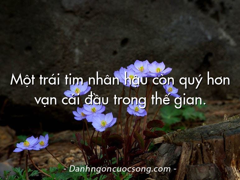 Một trái tim nhân hậu còn quý hơn vạn cái đầu trong thế gian.
