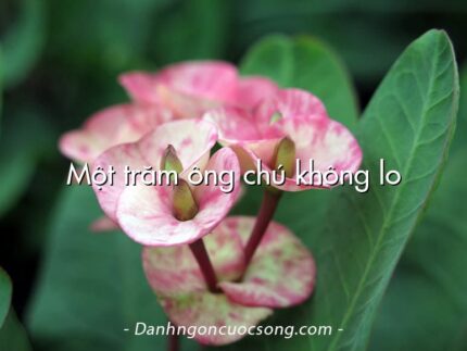 Một trăm ông chú không lo