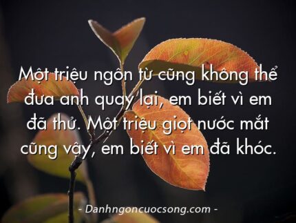 Một triệu ngôn từ cũng không thể đưa anh quay lại, em biết vì em đã thử. Một triệu giọt nước mắt cũng vậy, em biết vì em đã khóc.