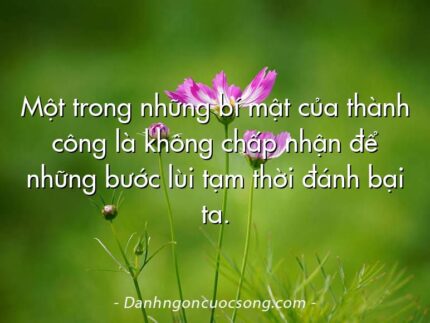 Một trong những bí mật của thành công là không chấp nhận để những bước lùi tạm thời đánh bại ta.