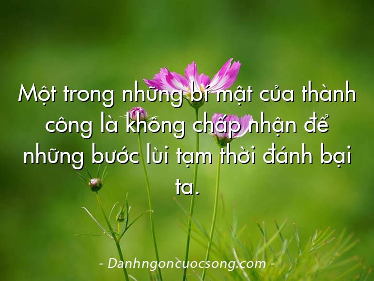 Một trong những bí mật của thành công là không chấp nhận để những bước lùi tạm thời đánh bại ta.