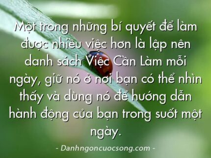 Một trong những bí quyết để làm được nhiều việc hơn là lập nên danh sách Việc Cần Làm mỗi ngày, giữ nó ở nơi bạn có thể nhìn thấy và dùng nó để hướng dẫn hành động của bạn trong suốt một ngày.
