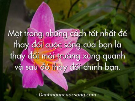 Một trong những cách tốt nhất để thay đổi cuộc sống của bạn là thay đổi môi trường xung quanh và sau đó thay đổi chính bạn.