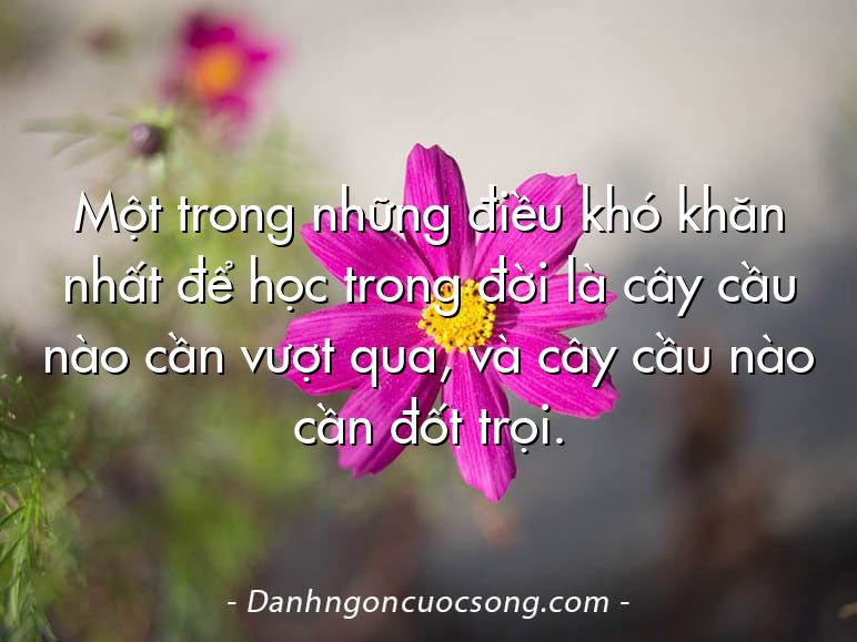 Một trong những điều khó khăn nhất để học trong đời là cây cầu nào cần vượt qua, và cây cầu nào cần đốt trọi.
