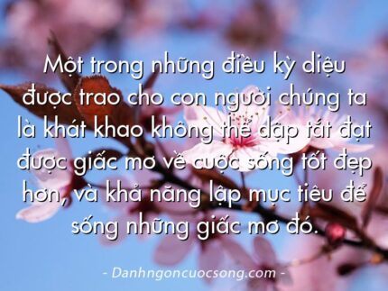 Một trong những điều kỳ diệu được trao cho con người chúng ta là khát khao không thể dập tắt đạt được giấc mơ về cuộc sống tốt đẹp hơn, và khả năng lập mục tiêu để sống những giấc mơ đó.