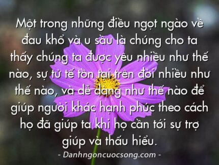 Một trong những điều ngọt ngào về đau khổ và u sầu là chúng cho ta thấy chúng ta được yêu nhiều như thế nào, sự tử tế tồn tại trên đời nhiều như thế nào, và dễ dàng như thế nào để giúp người khác hạnh phúc theo cách họ đã giúp ta khi họ cần tới sự trợ giúp và thấu hiểu.