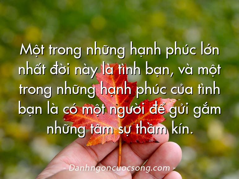 Một trong những hạnh phúc lớn nhất đời này là tình bạn, và một trong những hạnh phúc của tình bạn là có một người để gửi gắm những tâm sự thầm kín.