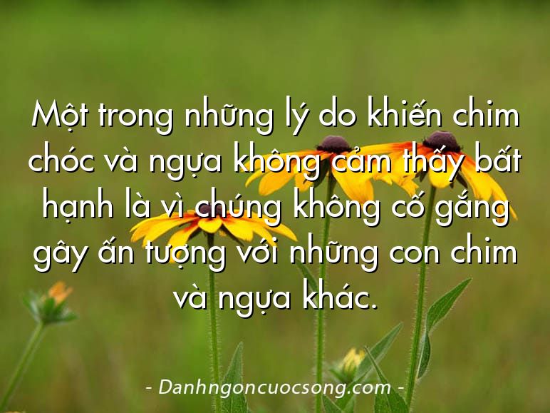 Một trong những lý do khiến chim chóc và ngựa không cảm thấy bất hạnh là vì chúng không cố gắng gây ấn tượng với những con chim và ngựa khác.