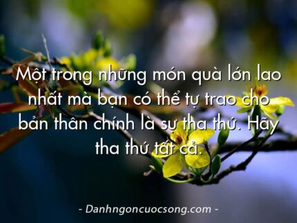 Một trong những món quà lớn lao nhất mà bạn có thể tự trao cho bản thân chính là sự tha thứ. Hãy tha thứ tất cả.