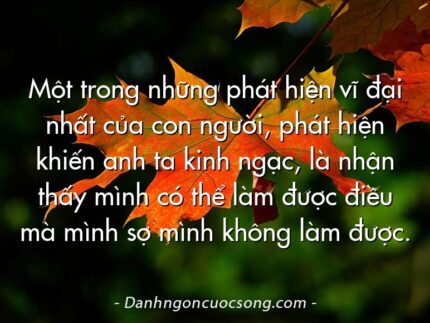 Một trong những phát hiện vĩ đại nhất của con người, phát hiện khiến anh ta kinh ngạc, là nhận thấy mình có thể làm được điều mà mình sợ mình không làm được.