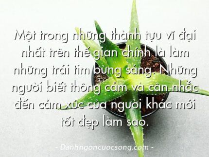 Một trong những thành tựu vĩ đại nhất trên thế gian chính là làm những trái tim bừng sáng. Những người biết thông cảm và cân nhắc đến cảm xúc của người khác mới tốt đẹp làm sao.