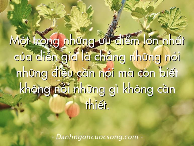 Một trong những ưu điểm lớn nhất của diễn giả là chẳng những nói những điều cần nói mà còn biết không nói những gì không cần thiết.