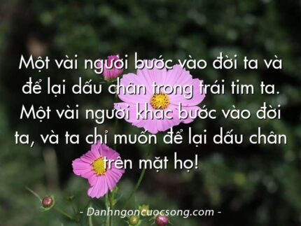 Một vài người bước vào đời ta và để lại dấu chân trong trái tim ta. Một vài người khác bước vào đời ta, và ta chỉ muốn để lại dấu chân trên mặt họ!