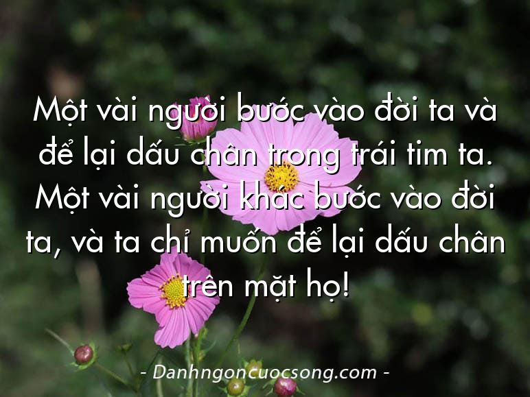 Một vài người bước vào đời ta và để lại dấu chân trong trái tim ta. Một vài người khác bước vào đời ta, và ta chỉ muốn để lại dấu chân trên mặt họ!