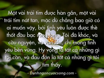 Một vài trái tim được hàn gắn, một vài trái tim nát tan, mặc dù chẳng bao giờ có ai muốn vậy, bởi tình yêu luôn được thề thốt đầu bạc răng long. Tôi đã khóc, và cầu nguyện, và van xin, chỉ mong tình yêu bền vững. Hy vọng là tất cả những gì tôi cần, và đau đớn là tất cả những gì tôi tìm thấy.