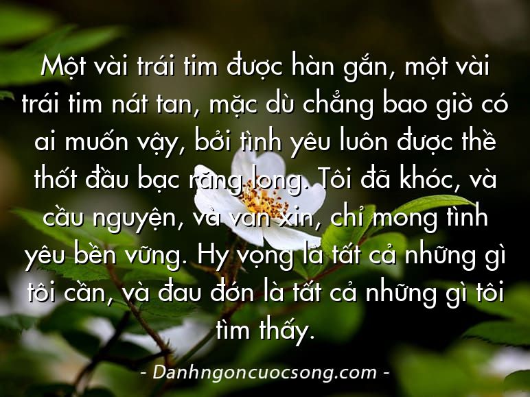 Một vài trái tim được hàn gắn, một vài trái tim nát tan, mặc dù chẳng bao giờ có ai muốn vậy, bởi tình yêu luôn được thề thốt đầu bạc răng long. Tôi đã khóc, và cầu nguyện, và van xin, chỉ mong tình yêu bền vững. Hy vọng là tất cả những gì tôi cần, và đau đớn là tất cả những gì tôi tìm thấy.