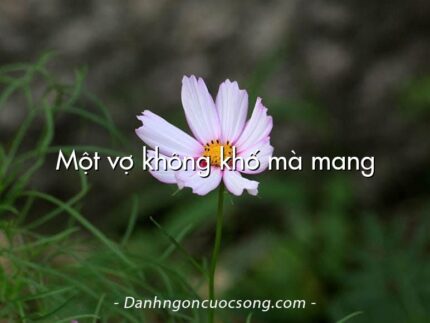Một vợ không khố mà mang