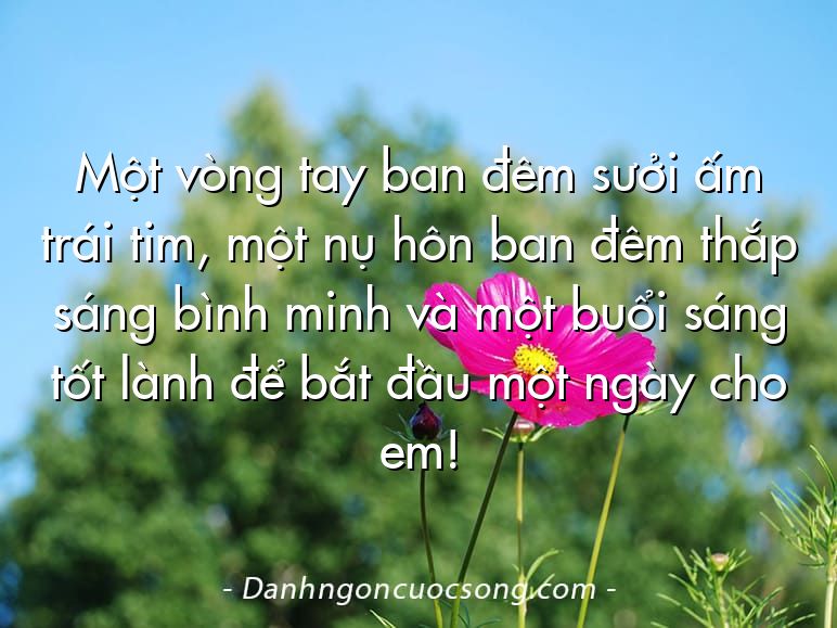 Một vòng tay ban đêm sưởi ấm trái tim, một nụ hôn ban đêm thắp sáng bình minh và một buổi sáng tốt lành để bắt đầu một ngày cho em!
