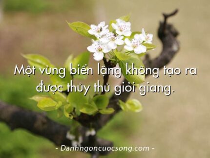 Một vùng biển lặng không tạo ra được thủy thủ giỏi giang.