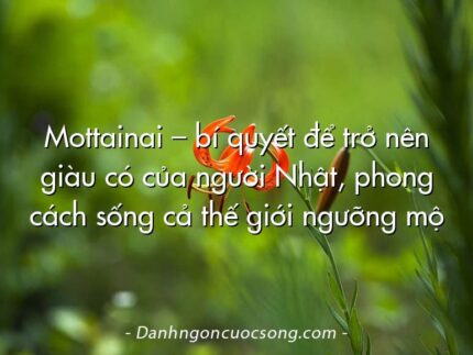Mottainai – bí quyết để trở nên giàu có của người Nhật, phong cách sống cả thế giới ngưỡng mộ