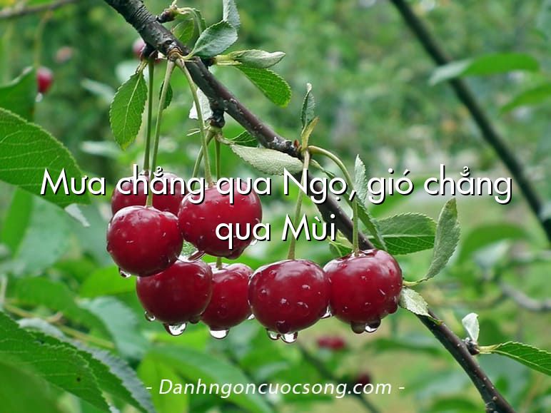 Mưa chẳng qua Ngọ, gió chẳng qua Mùi