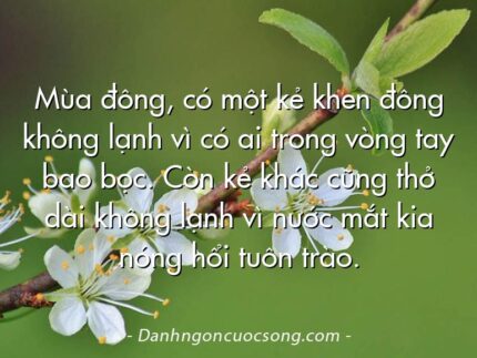 Mùa đông, có một kẻ khen đông không lạnh vì có ai trong vòng tay bao bọc. Còn kẻ khác cũng thở dài không lạnh vì nước mắt kia nóng hổi tuôn trào.