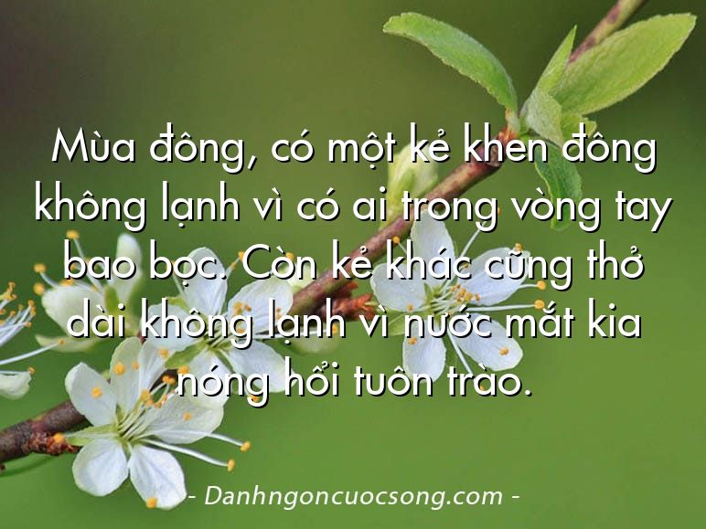Mùa đông, có một kẻ khen đông không lạnh vì có ai trong vòng tay bao bọc. Còn kẻ khác cũng thở dài không lạnh vì nước mắt kia nóng hổi tuôn trào.