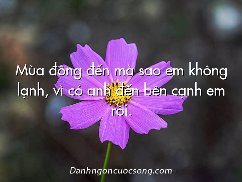 Mùa đông đến mà sao em không lạnh, vì có anh đến bên cạnh em rồi.