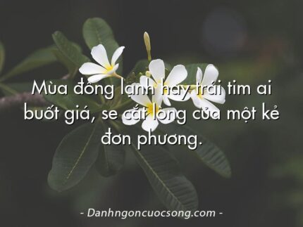 Mùa đông lạnh hay trái tim ai buốt giá, se cắt lòng của một kẻ đơn phương.