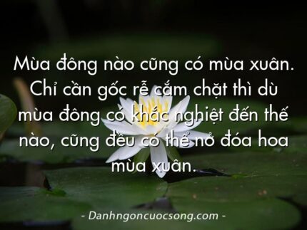 Mùa đông nào cũng có mùa xuân. Chỉ cần gốc rễ cắm chặt thì dù mùa đông có khắc nghiệt đến thế nào, cũng đều có thể nở đóa hoa mùa xuân.