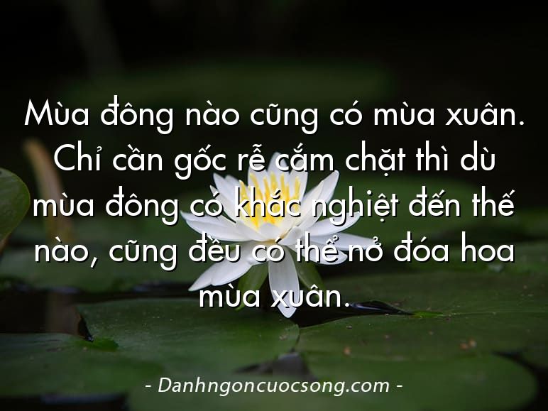 Mùa đông nào cũng có mùa xuân. Chỉ cần gốc rễ cắm chặt thì dù mùa đông có khắc nghiệt đến thế nào, cũng đều có thể nở đóa hoa mùa xuân.