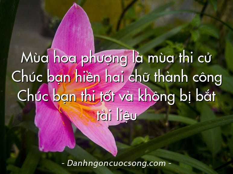 Mùa hoa phượng là mùa thi cử Chúc bạn hiền hai chữ thành công Chúc bạn thi tốt và không bị bắt tài liệu