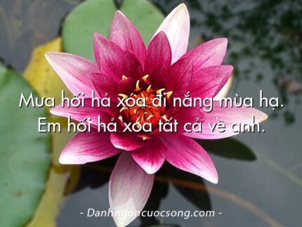 Mưa hối hả xóa đi nắng mùa hạ. Em hối hả xóa tất cả về anh.