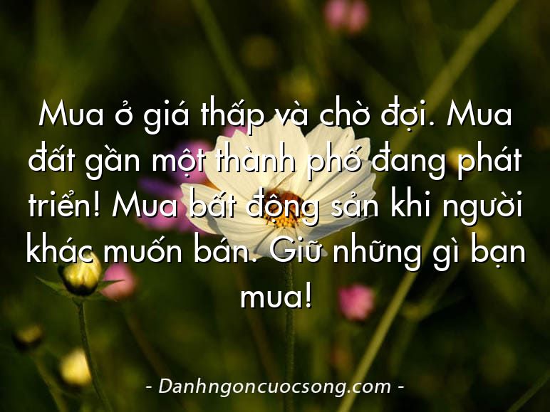 Mua ở giá thấp và chờ đợi. Mua đất gần một thành phố đang phát triển! Mua bất động sản khi người khác muốn bán. Giữ những gì bạn mua!