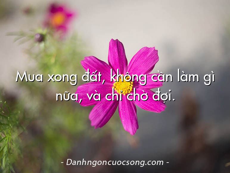 Mua xong đất, không cần làm gì nữa, và chỉ chờ đợi.