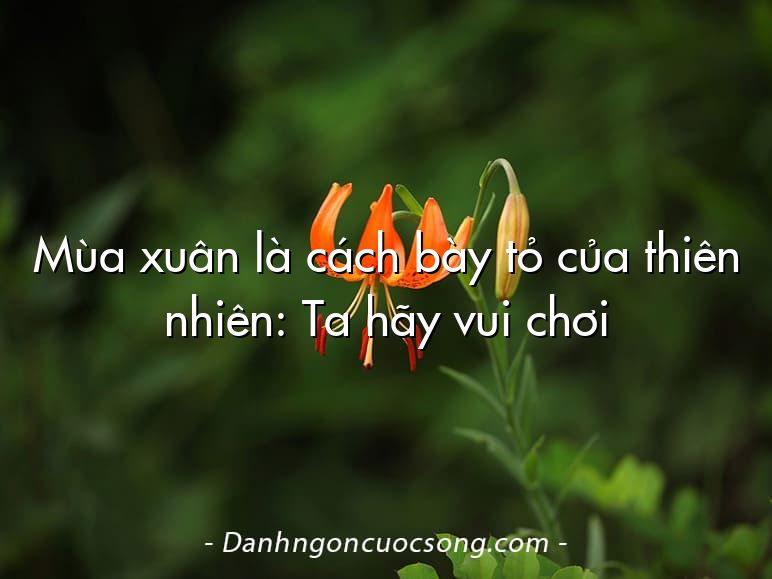 Mùa xuân là cách bày tỏ của thiên nhiên: Ta hãy vui chơi