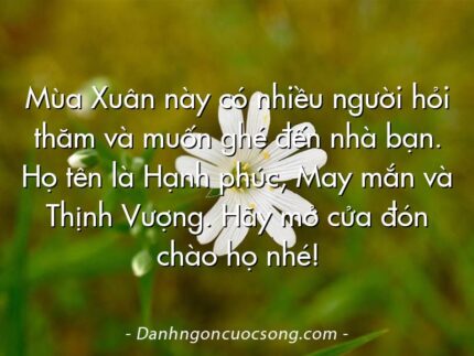 Mùa Xuân này có nhiều người hỏi thăm và muốn ghé đến nhà bạn. Họ tên là Hạnh phúc, May mắn và Thịnh Vượng. Hãy mở cửa đón chào họ nhé!