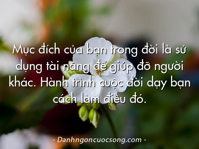 Mục đích của bạn trong đời là sử dụng tài năng để giúp đỡ người khác. Hành trình cuộc đời dạy bạn cách làm điều đó.