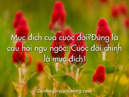 Mục đích của cuộc đời?Đúng là câu hỏi ngu ngốc: Cuộc đời chính là mục đích!
