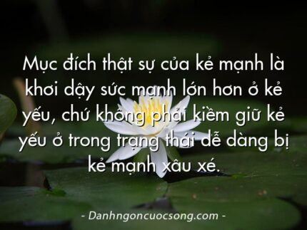Mục đích thật sự của kẻ mạnh là khơi dậy sức mạnh lớn hơn ở kẻ yếu, chứ không phải kiềm giữ kẻ yếu ở trong trạng thái dễ dàng bị kẻ mạnh xâu xé.