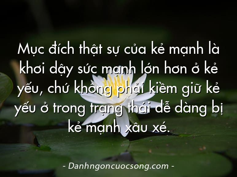 Mục đích thật sự của kẻ mạnh là khơi dậy sức mạnh lớn hơn ở kẻ yếu, chứ không phải kiềm giữ kẻ yếu ở trong trạng thái dễ dàng bị kẻ mạnh xâu xé.
