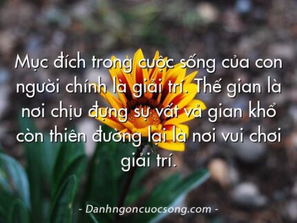 Mục đích trong cuộc sống của con người chính là giải trí. Thế gian là nơi chịu đựng sự vất vả gian khổ còn thiên đường lại là nơi vui chơi giải trí.