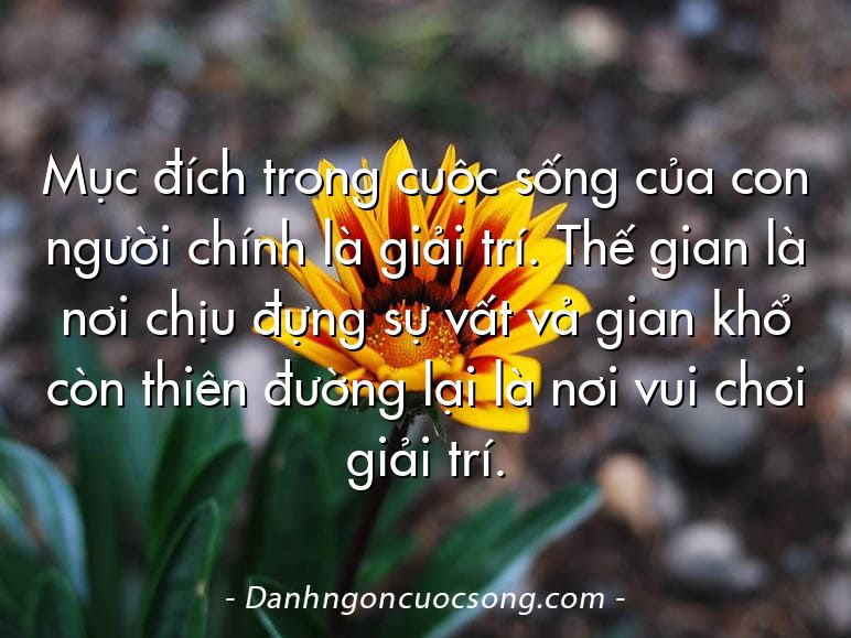 Mục đích trong cuộc sống của con người chính là giải trí. Thế gian là nơi chịu đựng sự vất vả gian khổ còn thiên đường lại là nơi vui chơi giải trí.